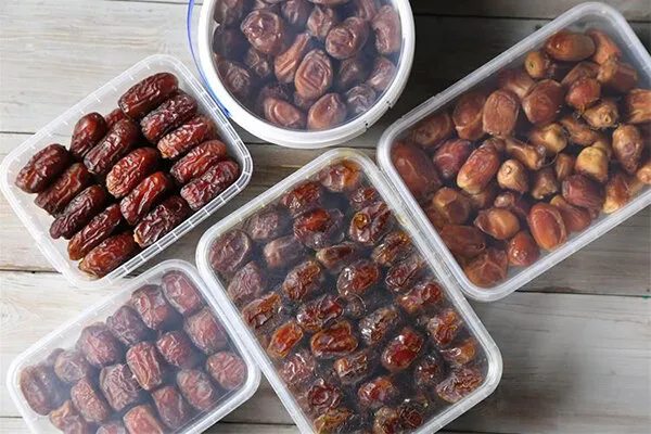قیمت خرمای مجول هرمزگان + خرید انواع متنوع خرما