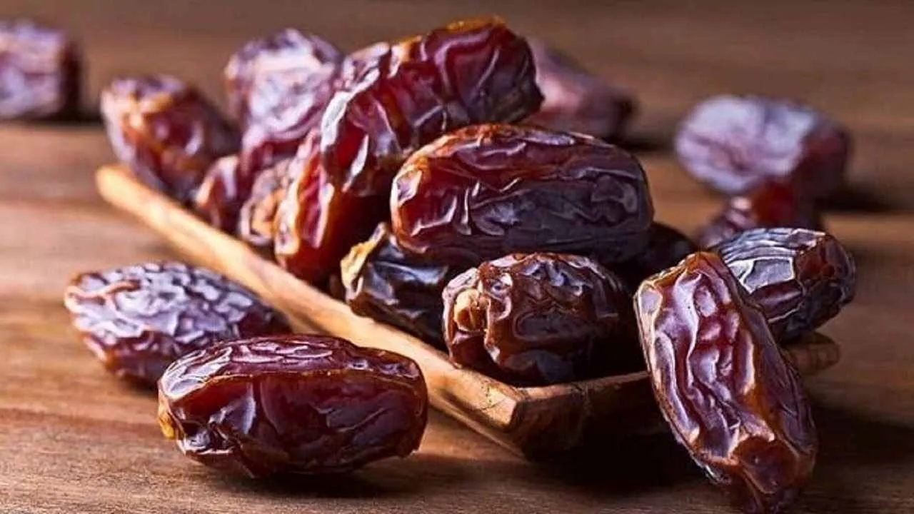 قیمت خرمای مجول هرمزگان + خرید انواع متنوع خرما