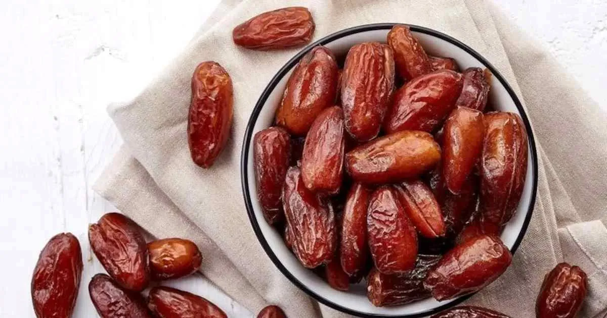 قیمت خرمای مجول هرمزگان + خرید انواع متنوع خرما