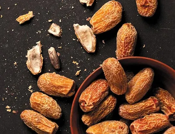 خرید خرما صادراتی درجه یک + بهترین قیمت