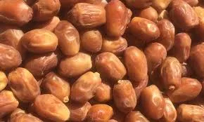 خرید خرما شاهانی درجه یک با قیمت استثنایی